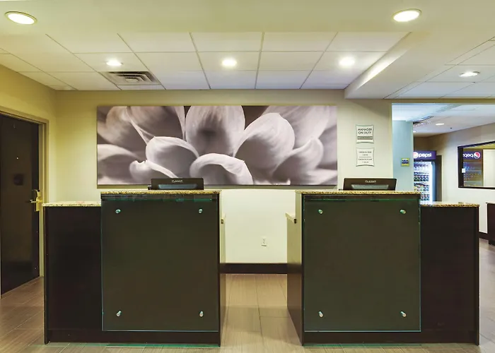 Self catering: Comfort Inn & Suites Tampa North I-75